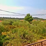Conar * Drvenik Veli