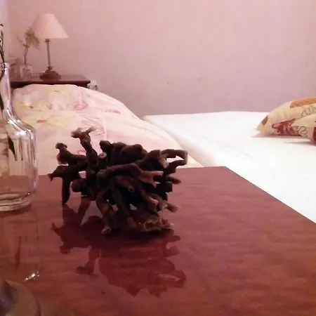 Apartment Conar Veliki Drvenik