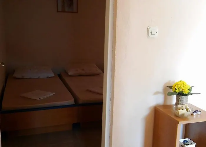 Conar Apartman Veliki Drvenik